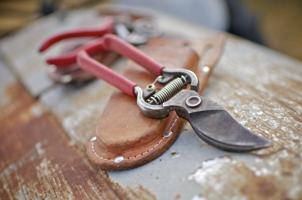 ŠKARE CORONA VOĆARSKE BP4250