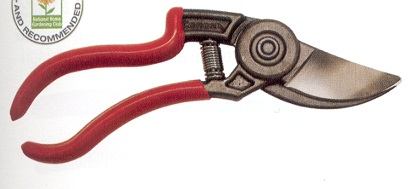 ŠKARE CORONA VOĆARSKE BP3640