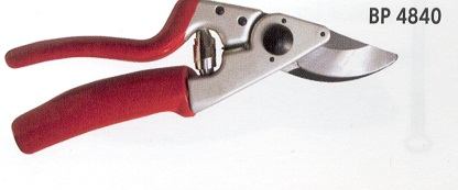 ŠKARE CORONA VOĆARSKE BP4840