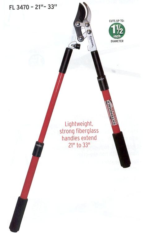 ŠKARE CORONA ZA GRANE KRIKET FL3470