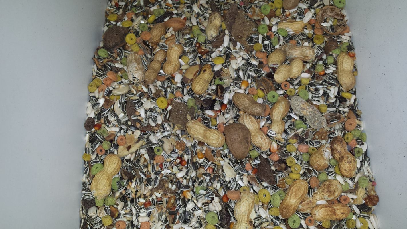 Hrana KOKORI EXTRA - VELIKE PAPIGE 25 kg