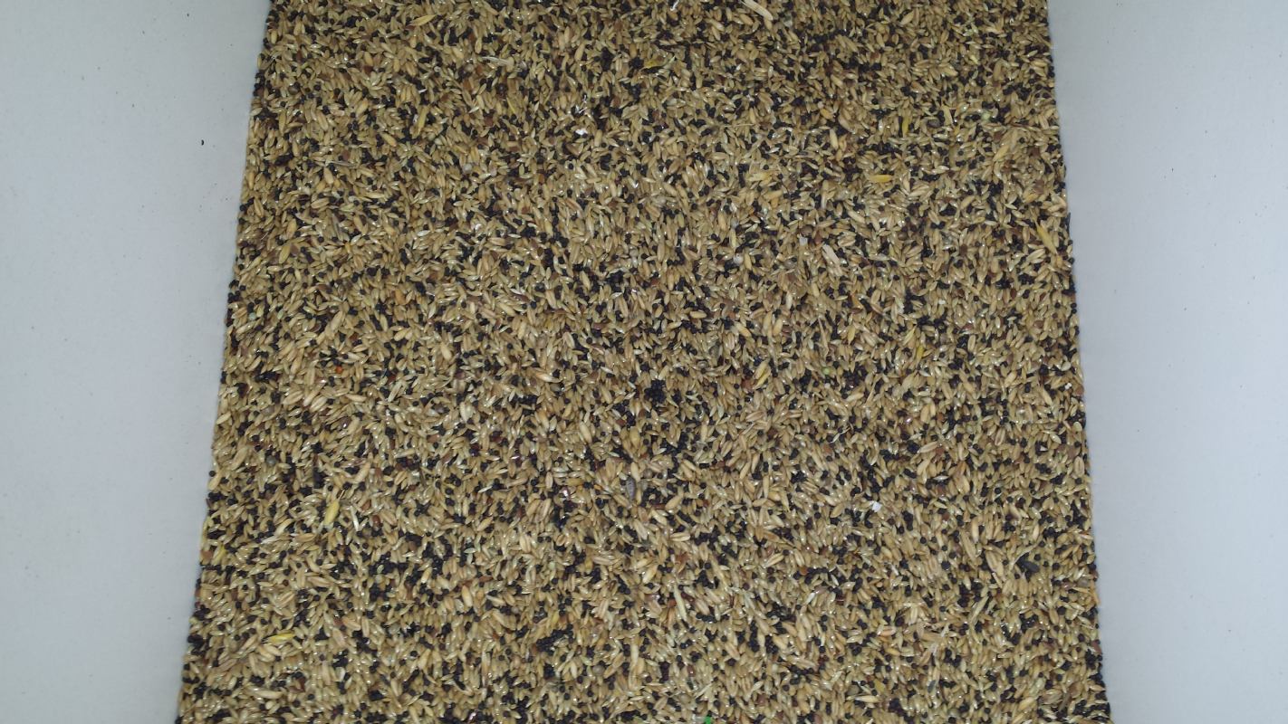 HRANA  25 KG ZA KANARINCE