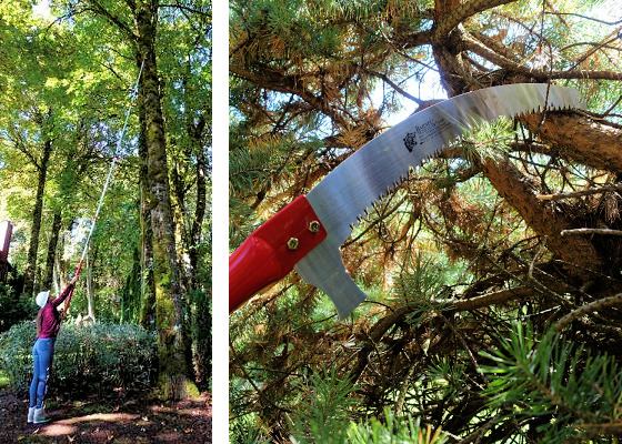 PILA BA ZA GRANE VISOKA REZIDBA ZUB V