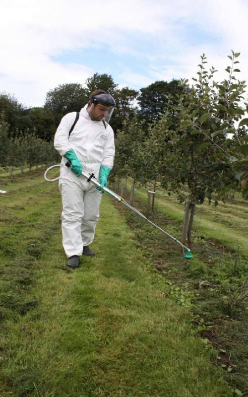 Suzbijanje korova u vočnjacima