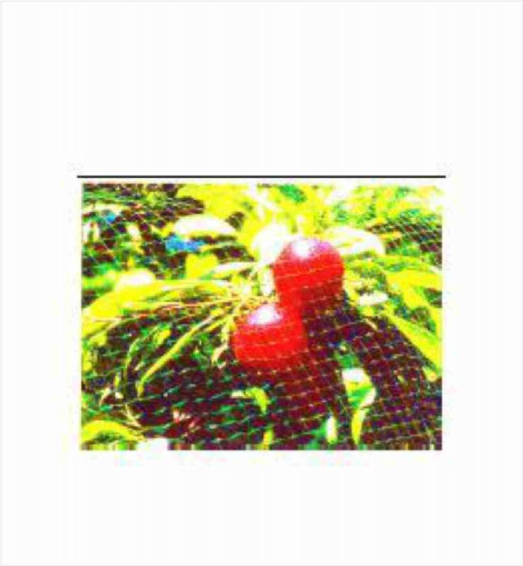 Mreža za zaštitu od ptica