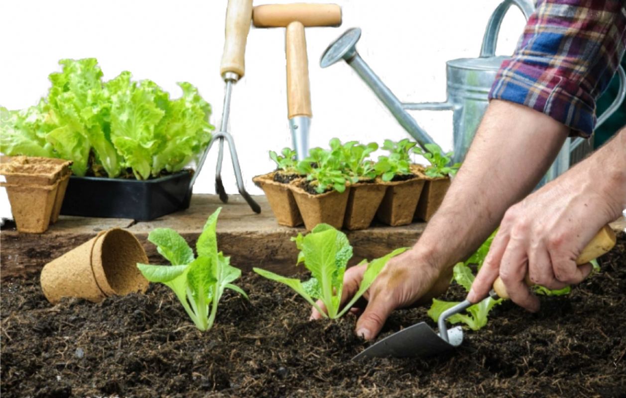EKOLOŠKA PROIZVODNJA VOĆA I POVRĆA U VLASTIITOM VRTU